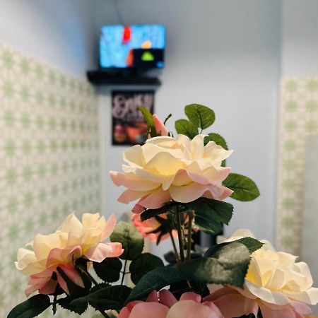 B&B Peace 2 Pisa Ngoại thất bức ảnh