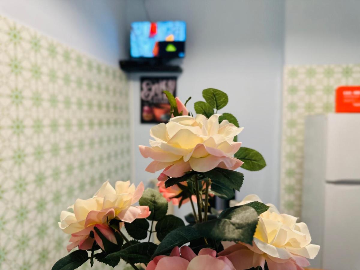 B&B Peace 2 Pisa Ngoại thất bức ảnh